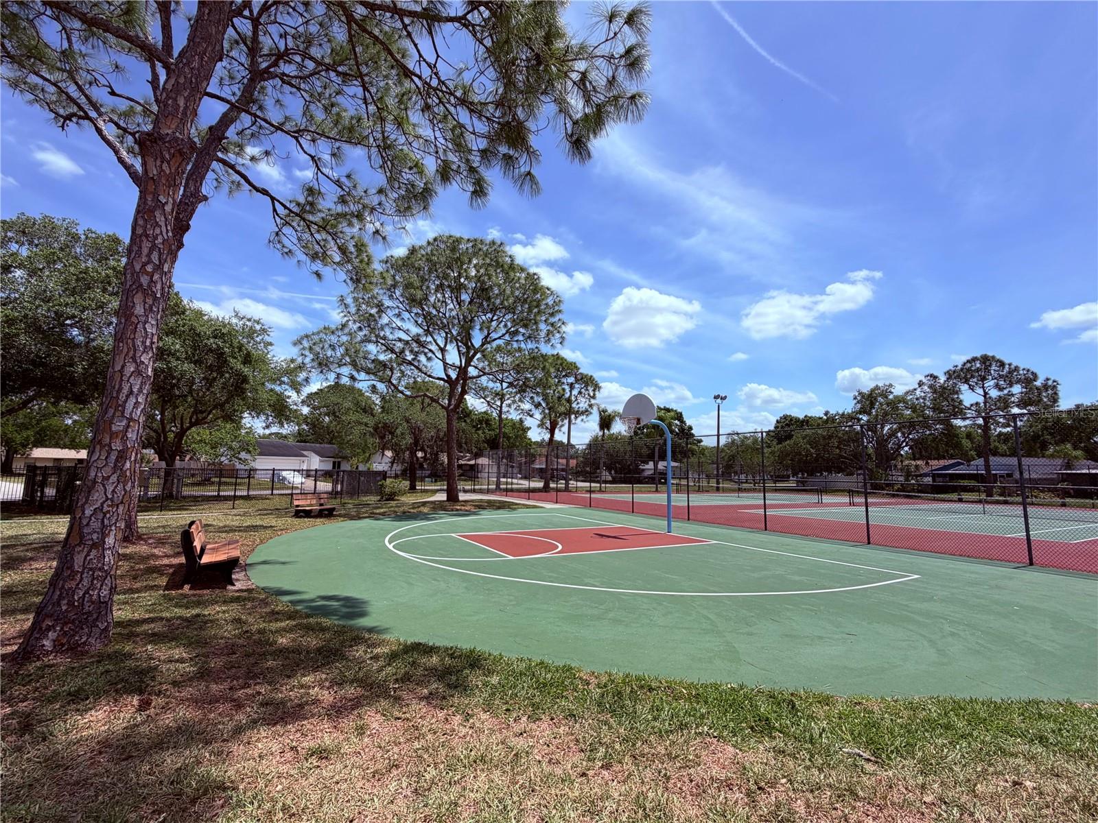 Image 55 of 57 For 129 Camphor Circle F