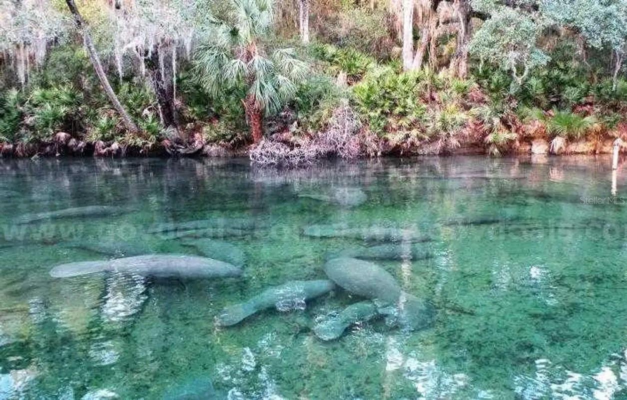 Details for 1 Werley Trail, DELAND, FL 32720