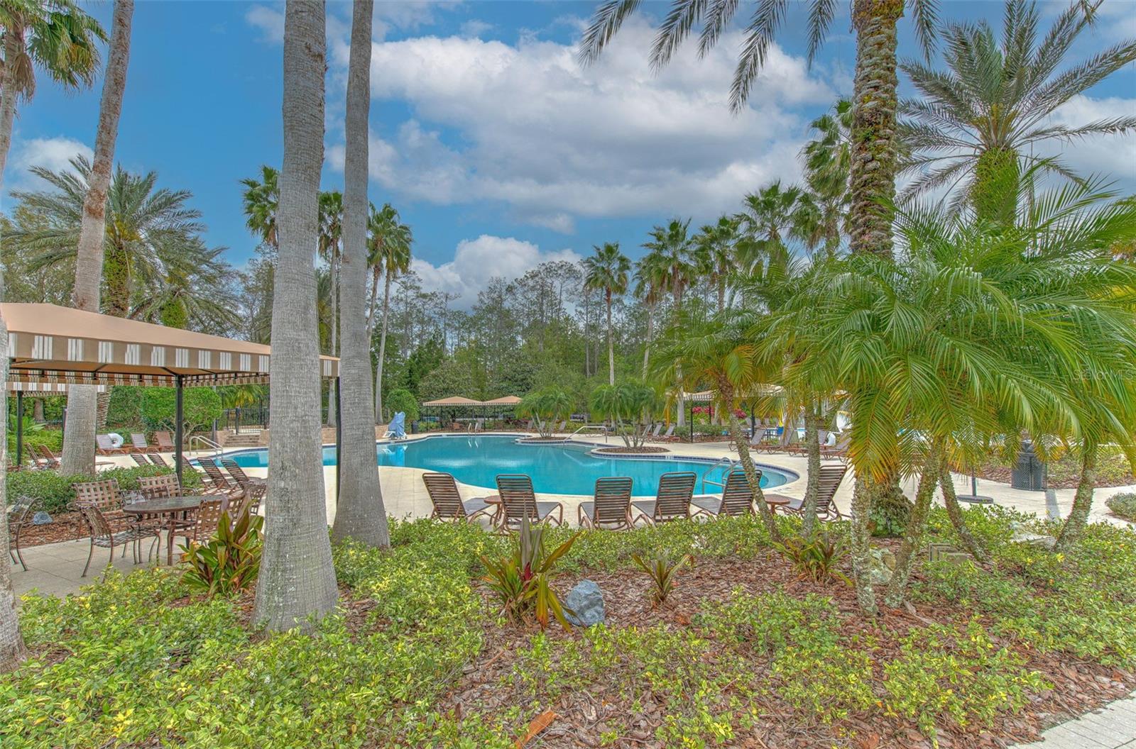 Image 25 of 34 For 27601 Baybrook Loop