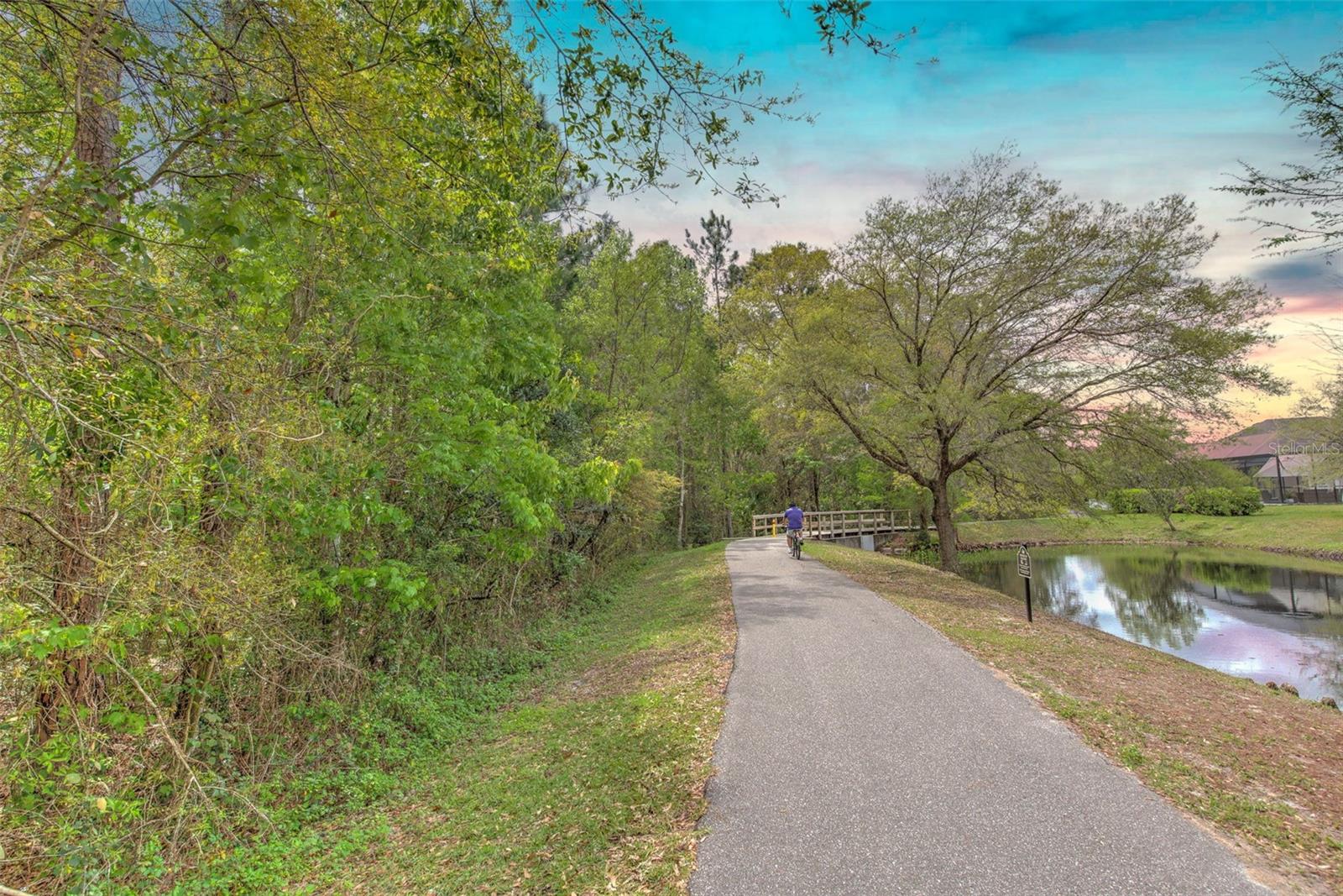 Image 30 of 34 For 27601 Baybrook Loop