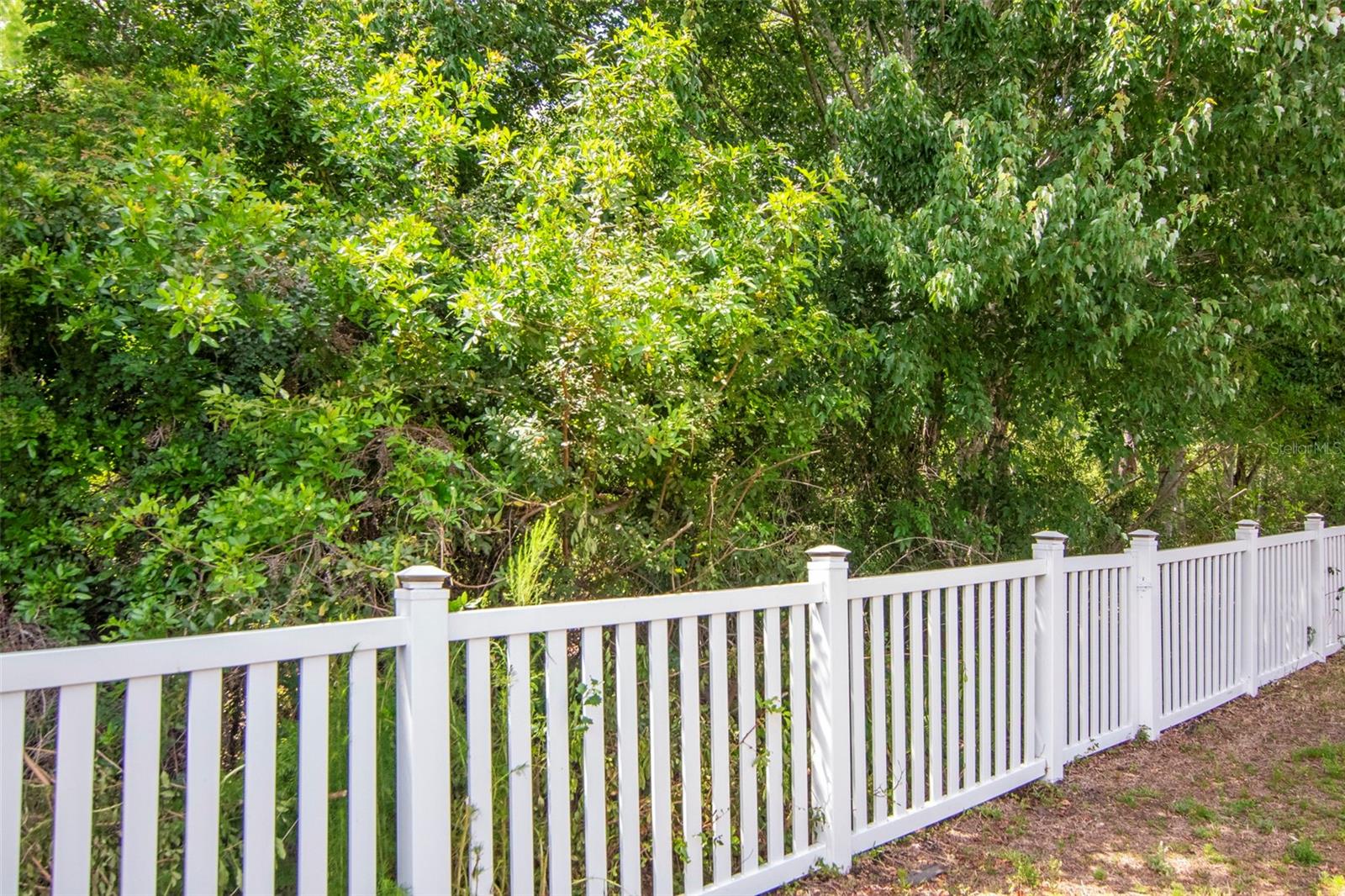 Listing photo id 48 for 3201 Dunstable Drive