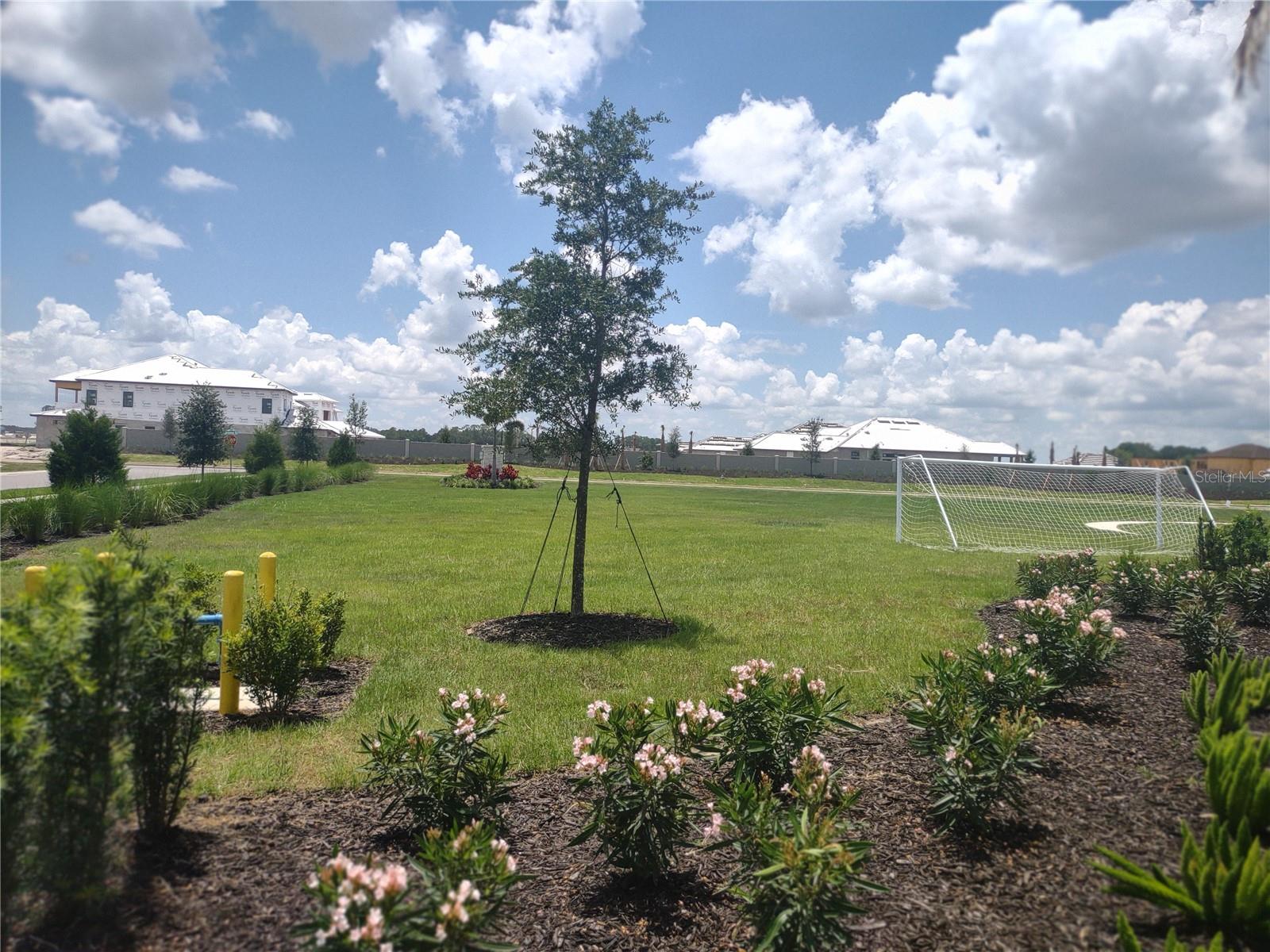 Image 19 of 20 For 34202 Polacca Lane