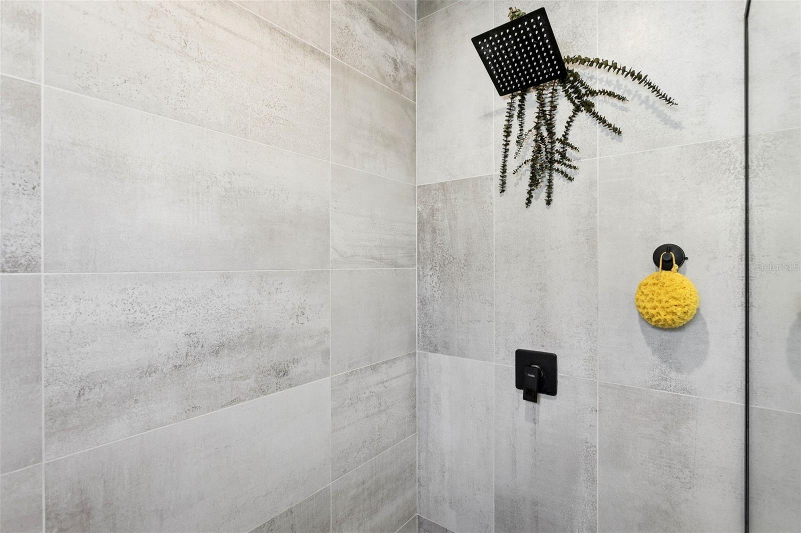 Image 36 of 50 For 1006 Norfolk Street