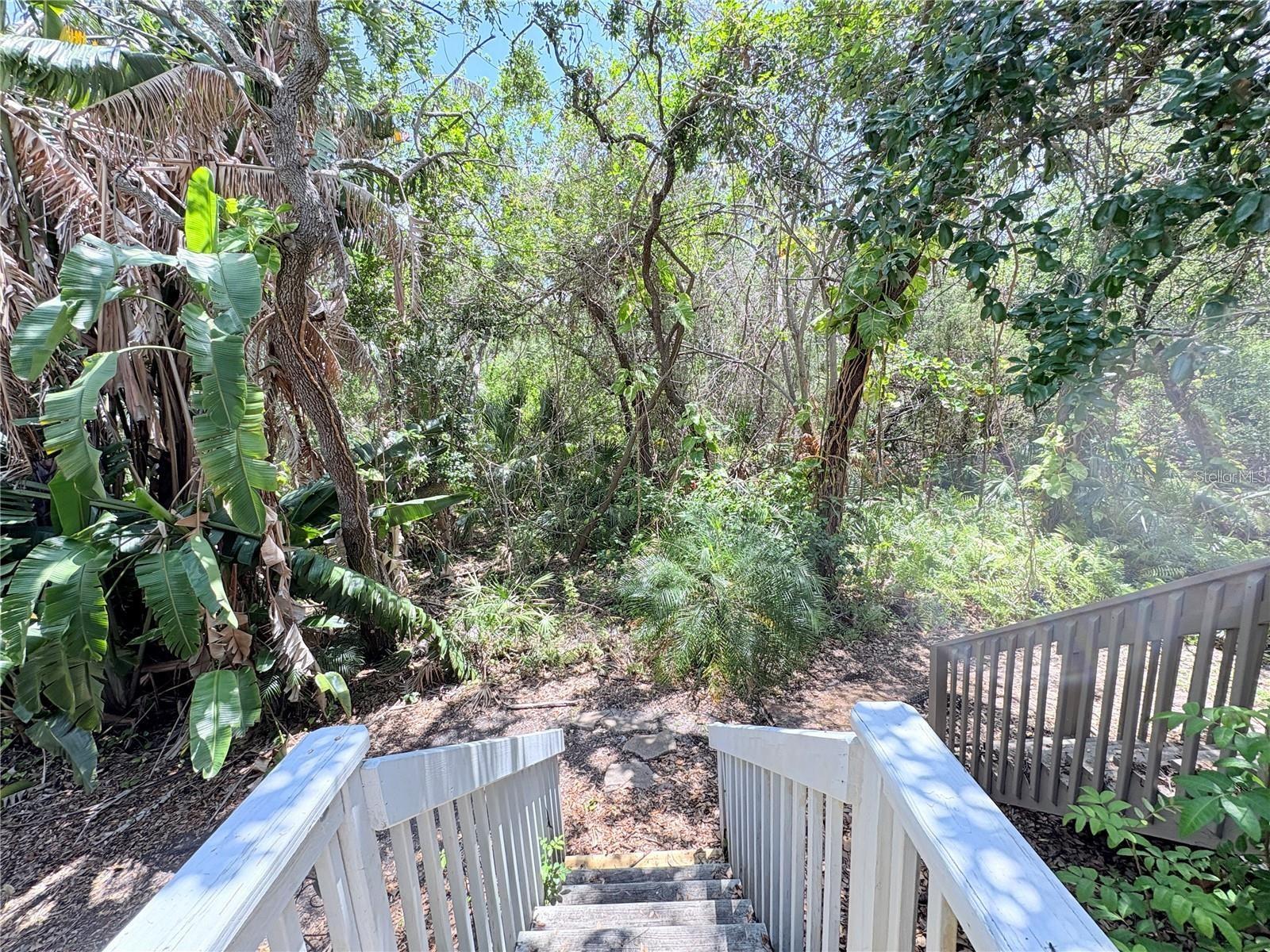 Image 27 of 29 For 2856 Bayshore Trails Drive