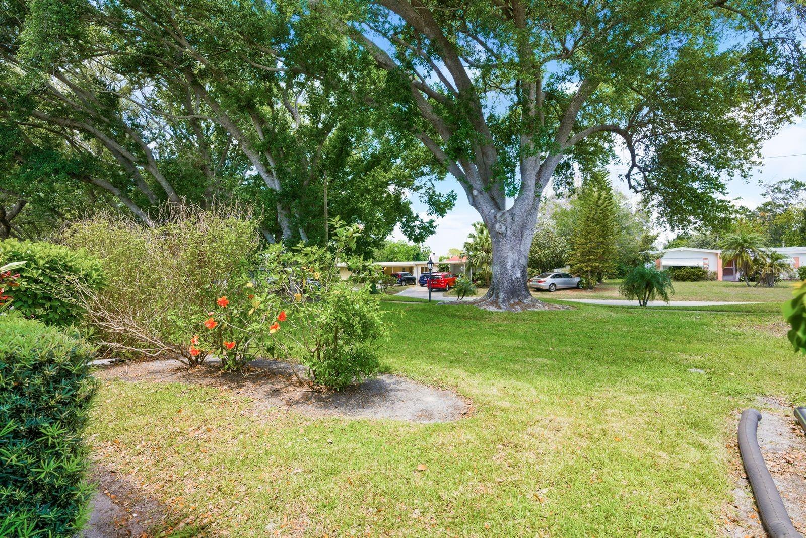 Image 29 of 39 For 1655 Highland Avenue D138