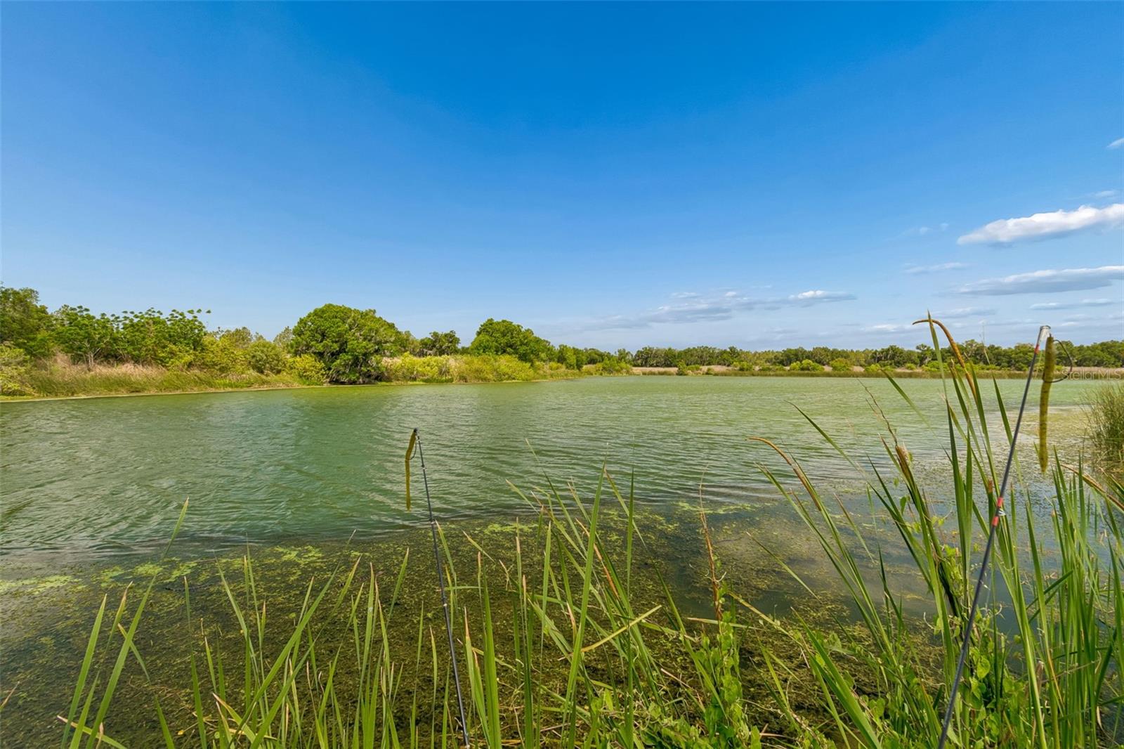 Image 38 of 39 For 1980 Old Brewster Road