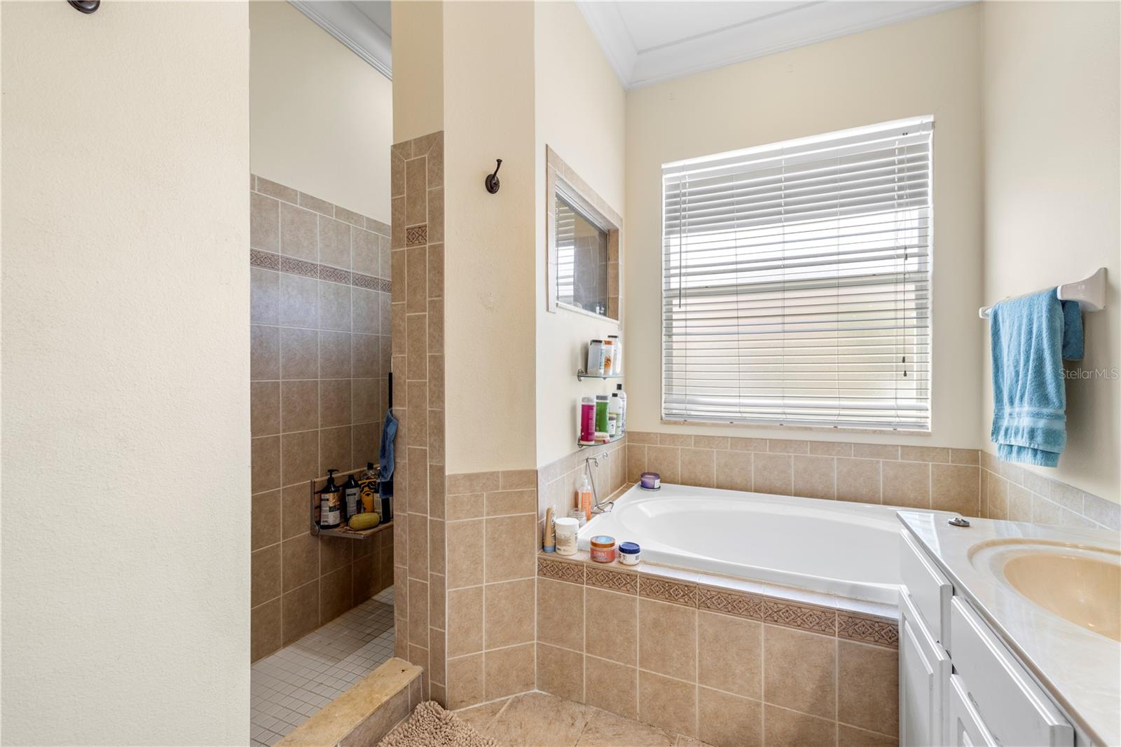 Image 43 of 76 For 5096 Brightstone Place