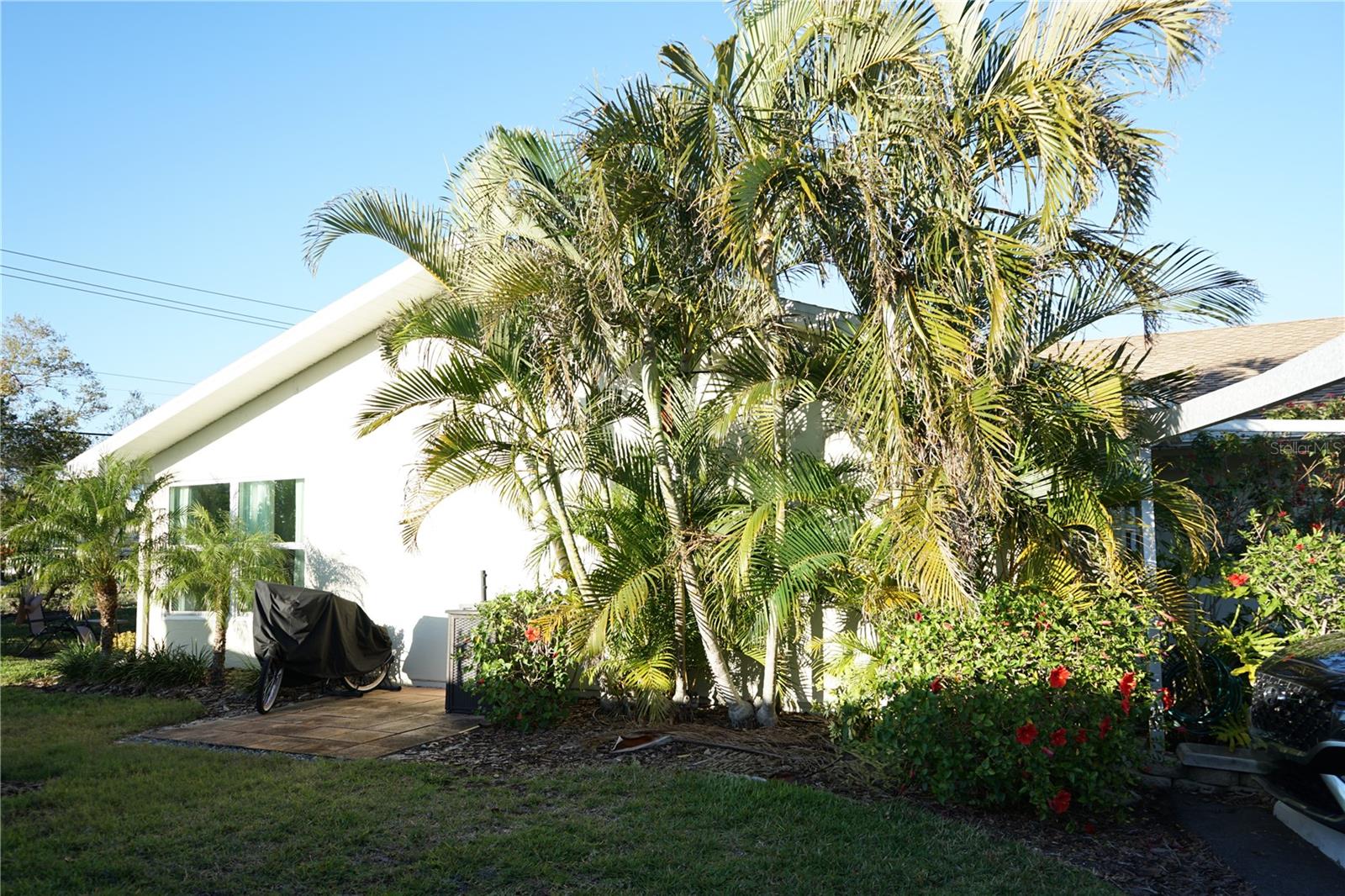 Image 33 of 54 For 411 Bloom Court 2a