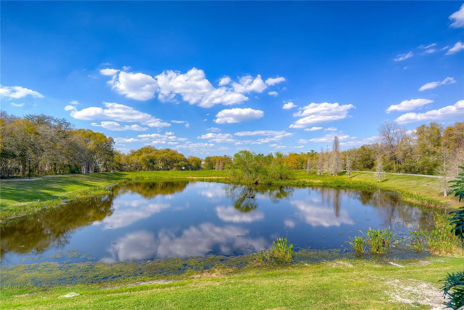 Image 43 of 48 For 5820 Audubon Manor Boulevard