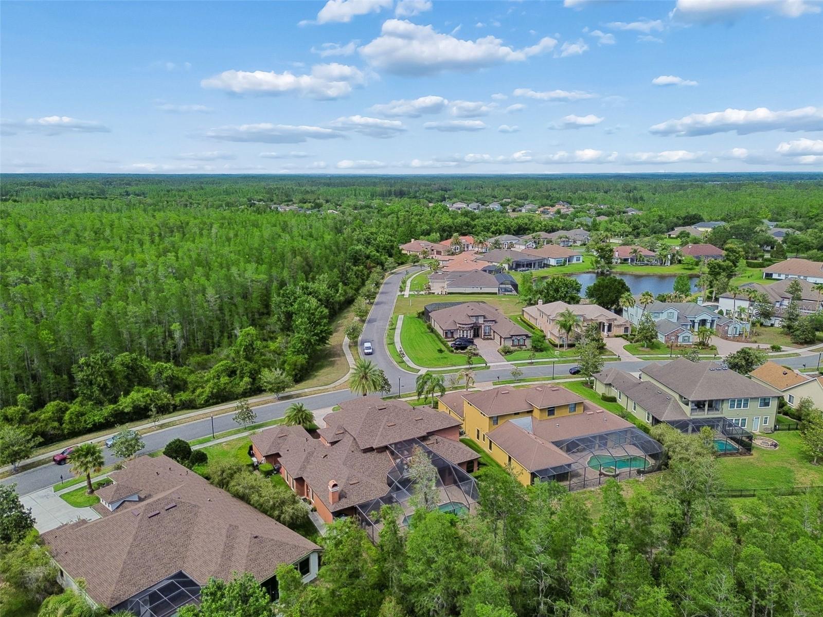 Image 89 of 100 For 20330 Lace Cascade Road