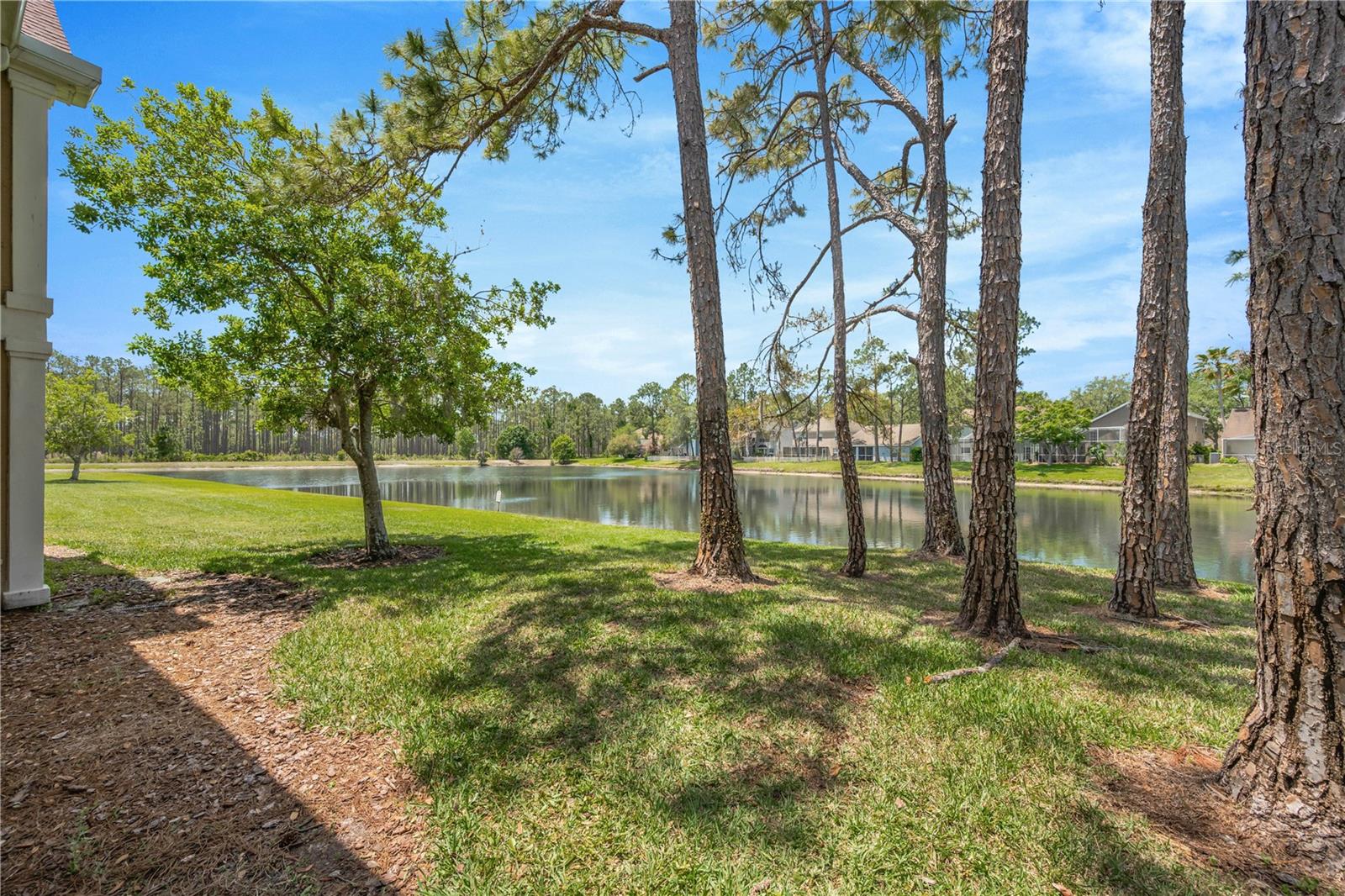 Image 5 of 28 For 9481 Highland Oak Drive 1112