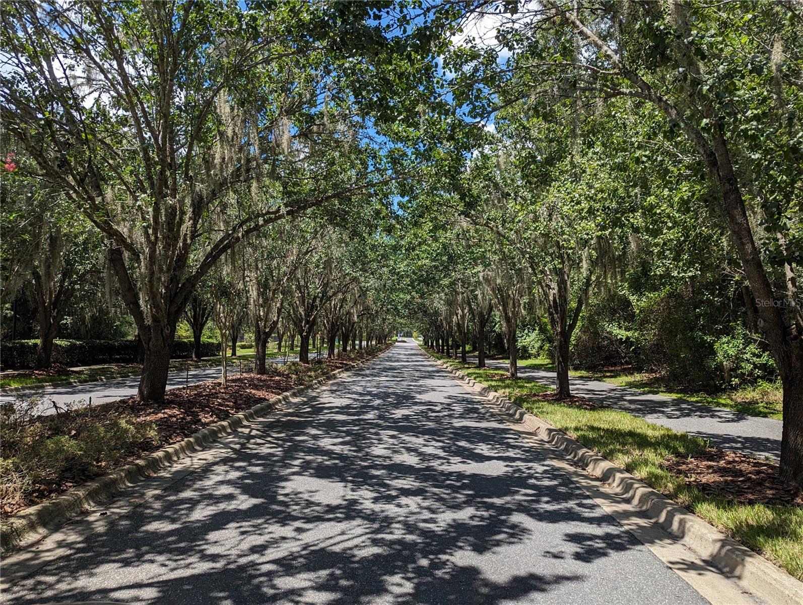 Image 30 of 40 For 8608-a 77th Avenue