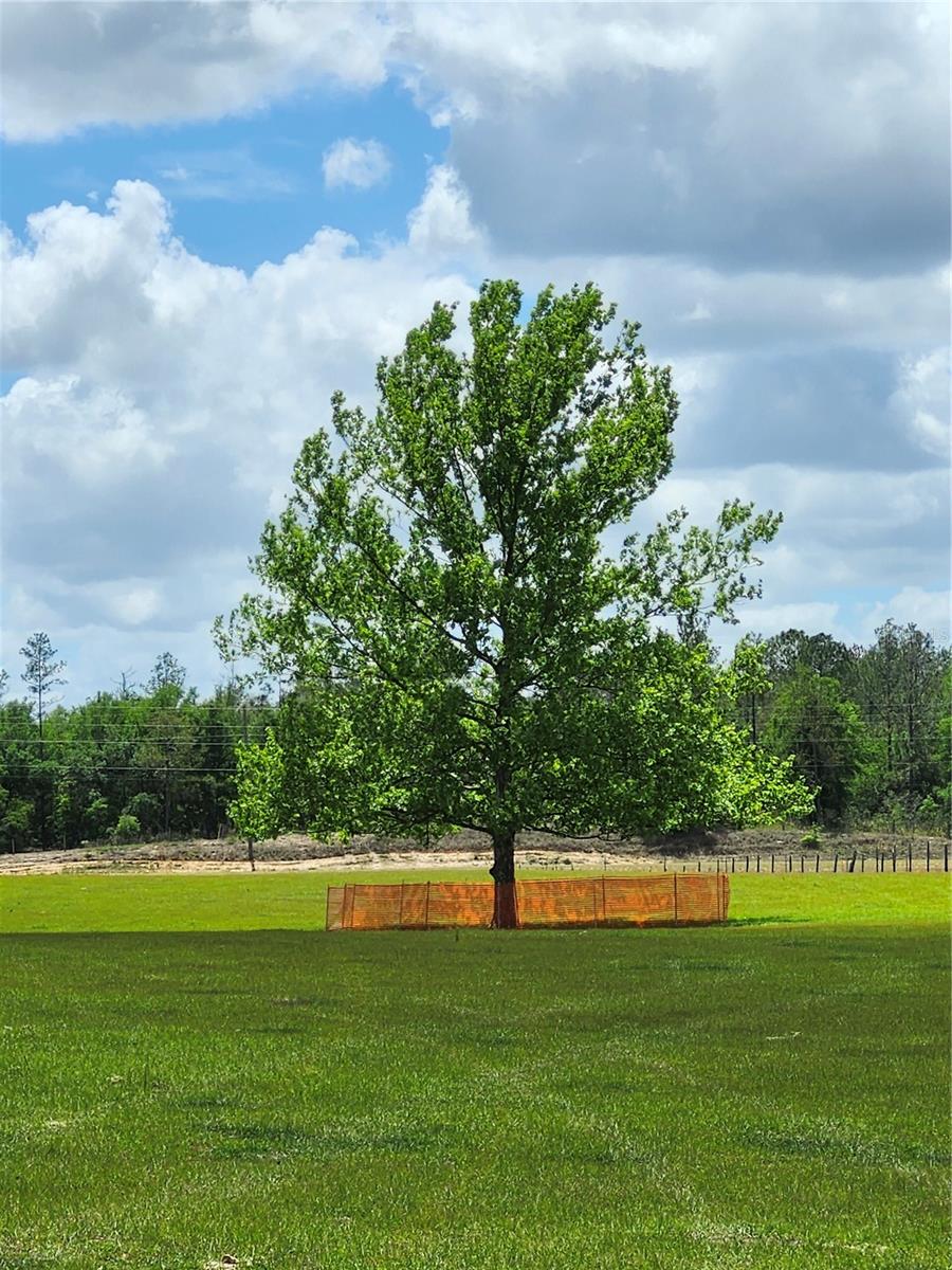 Image 3 of 6 For 0 Christian Road Lot 9