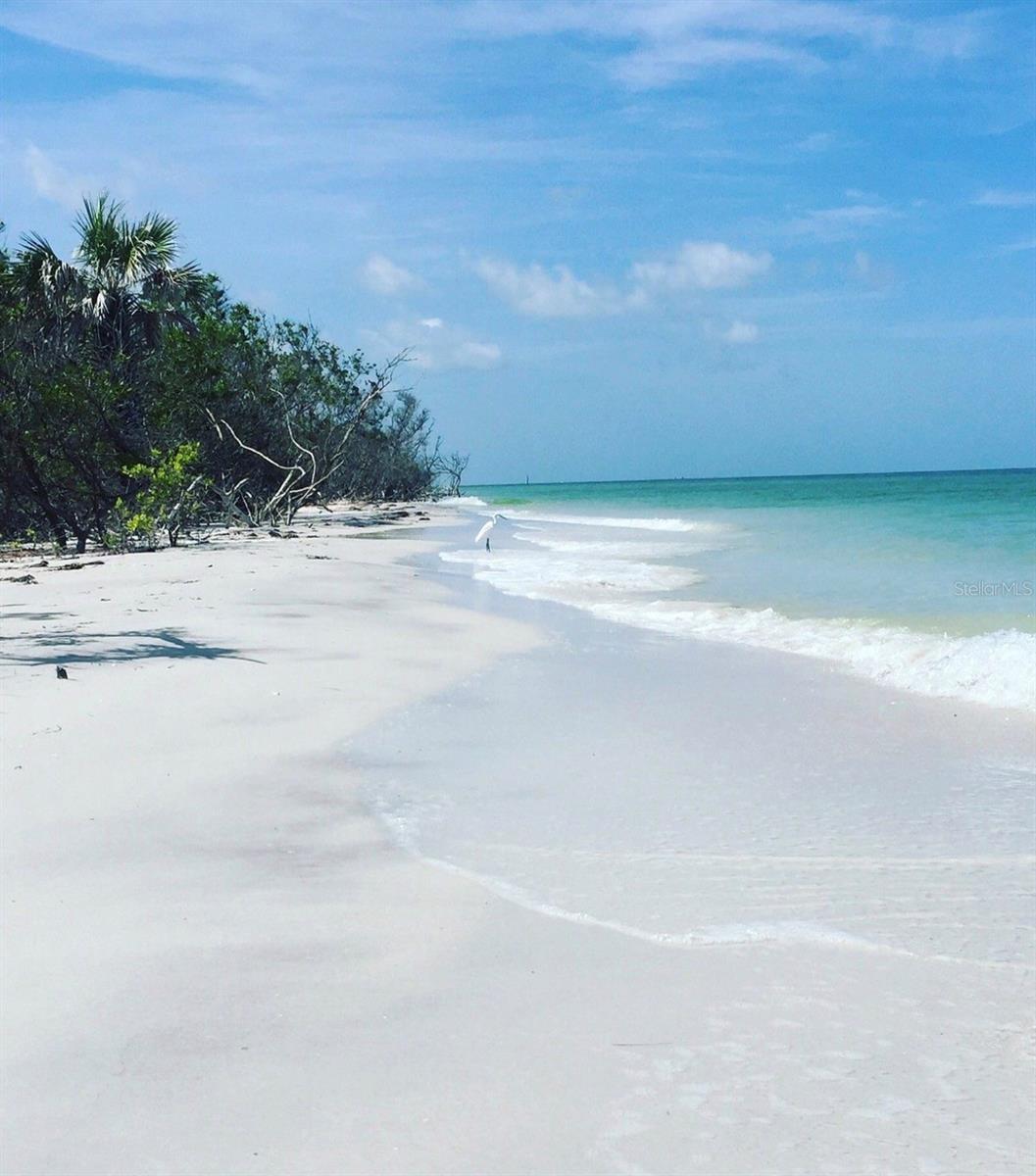 Image 34 of 45 For 880 Mandalay Avenue S205