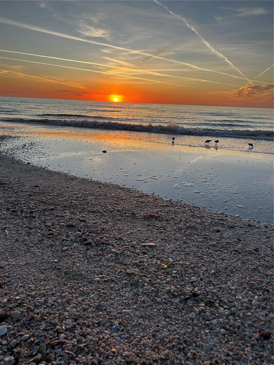 Image 40 of 45 For 880 Mandalay Avenue S205