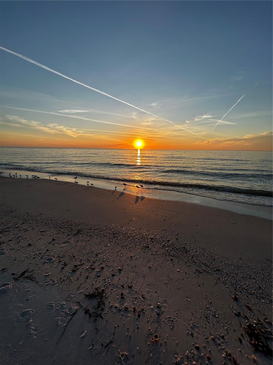 Image 41 of 45 For 880 Mandalay Avenue S205