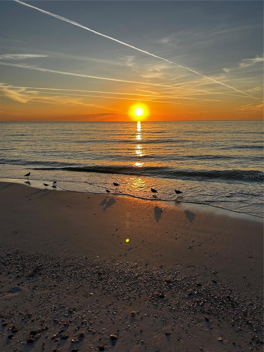 Image 42 of 45 For 880 Mandalay Avenue S205