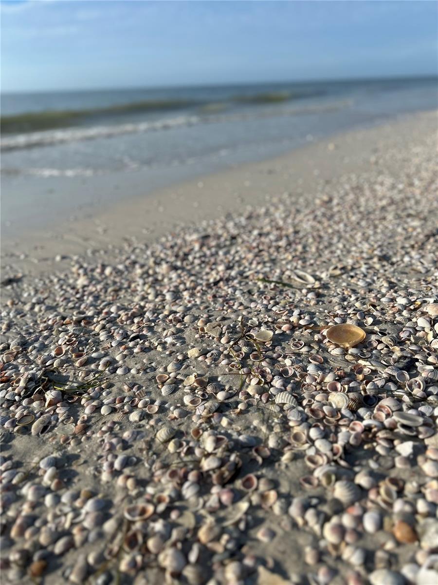 Image 43 of 45 For 880 Mandalay Avenue S205