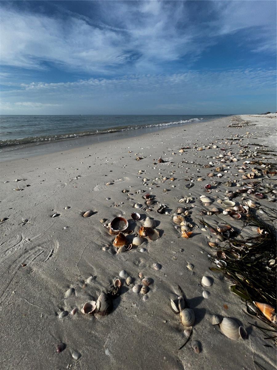 Image 44 of 45 For 880 Mandalay Avenue S205