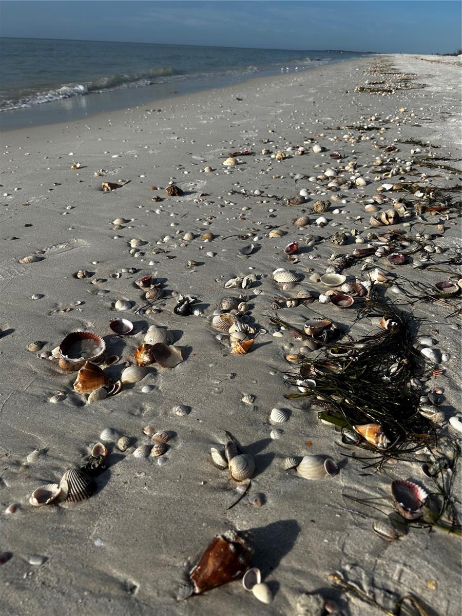 Image 45 of 45 For 880 Mandalay Avenue S205