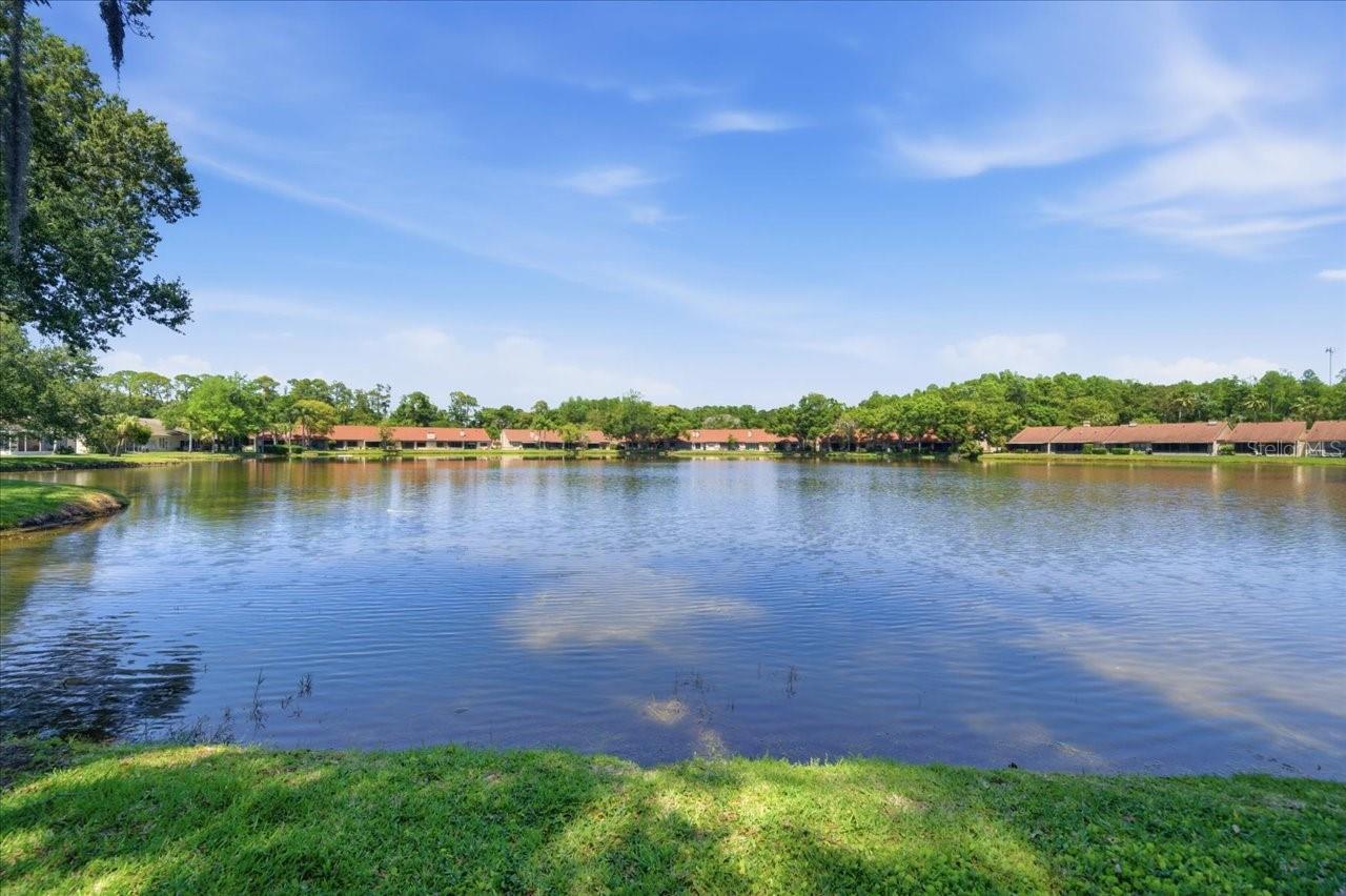 Image 33 of 38 For 3399 Mermoor Drive 101