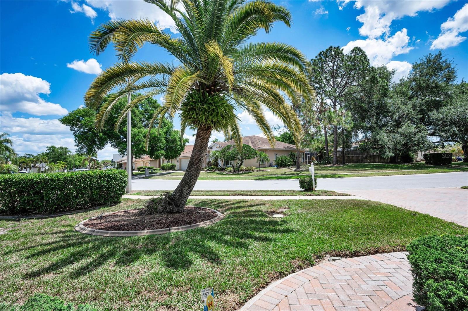 Image 5 of 56 For 3423 Foxhall Drive