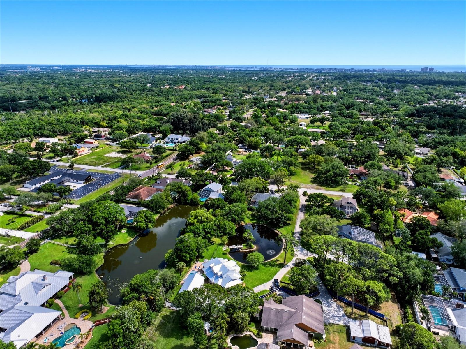 Image 50 of 100 For 13227 110th Avenue