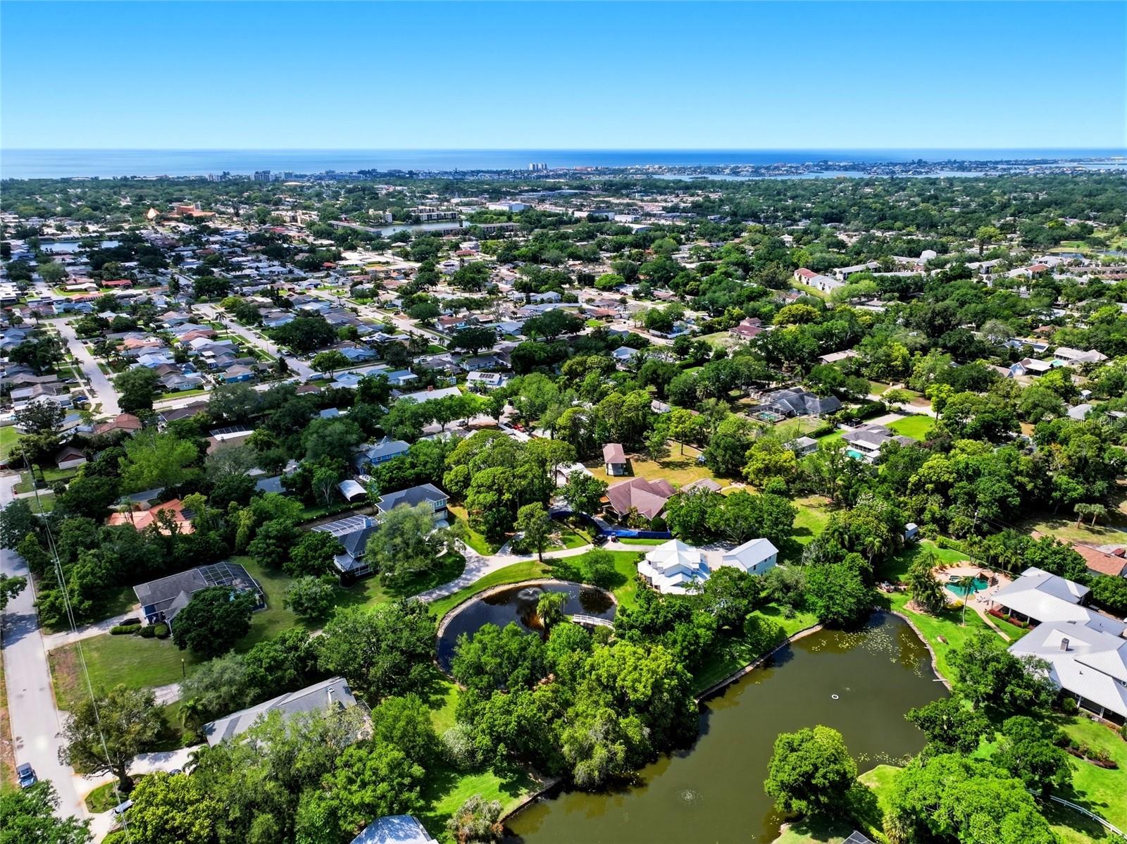 Image 52 of 100 For 13227 110th Avenue