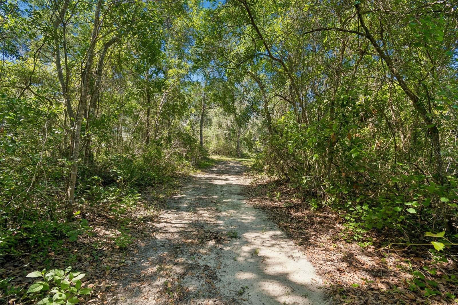 Image 31 of 54 For 22535 Skyview Circle