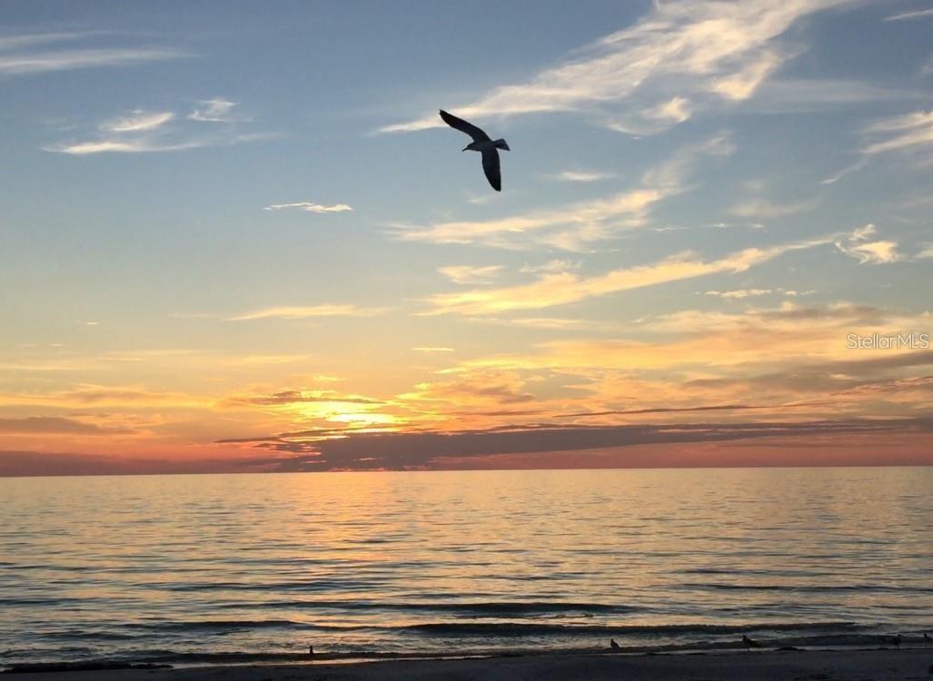 Image 42 of 48 For 5635 24th Avenue N