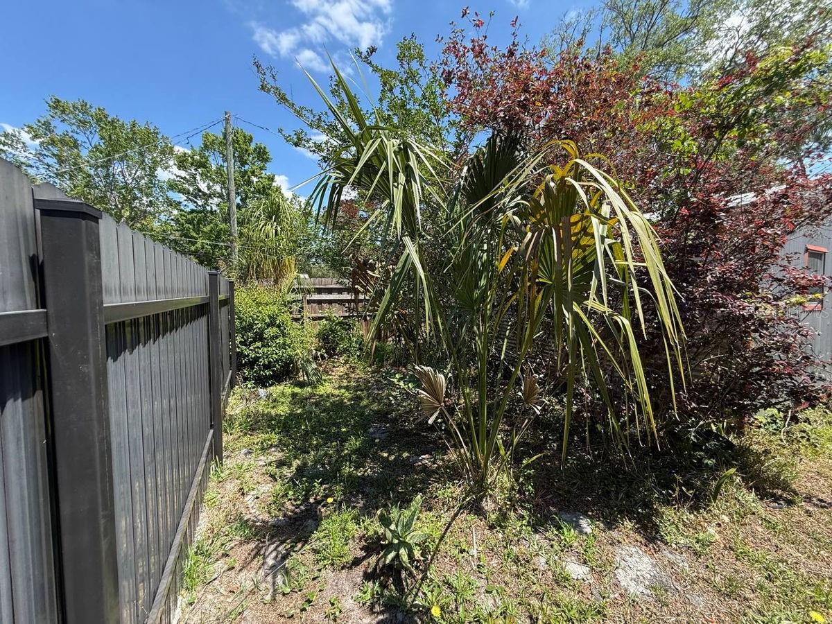 Image 58 of 62 For 3819 Miruelo Circle S