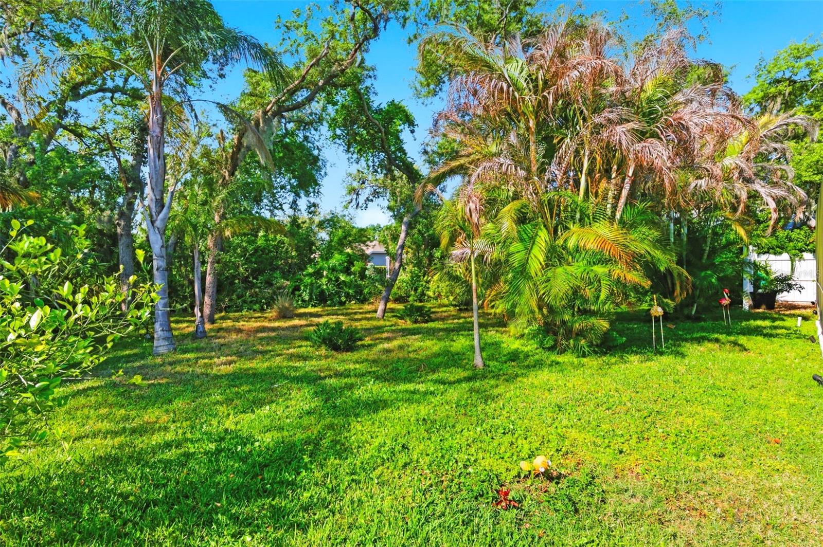 Image 49 of 67 For 8530 Orsi Court