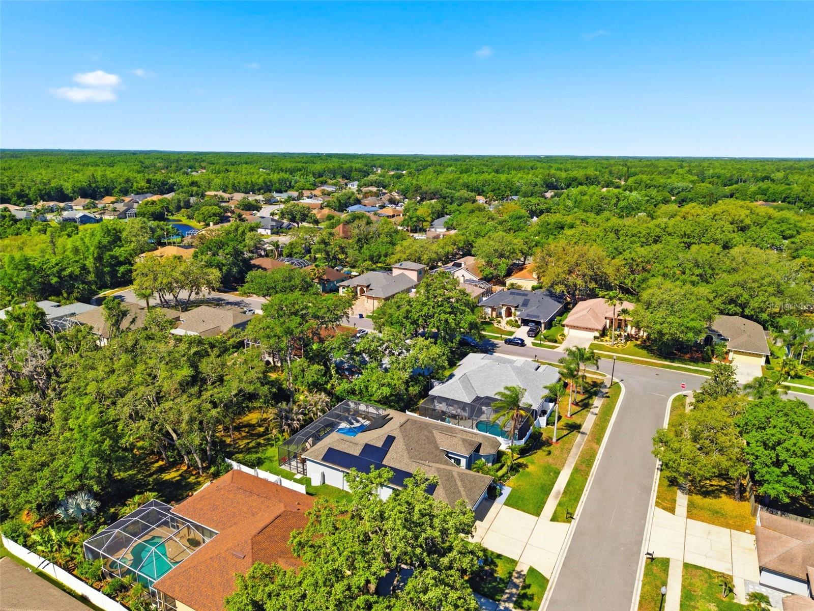 Image 61 of 67 For 8530 Orsi Court