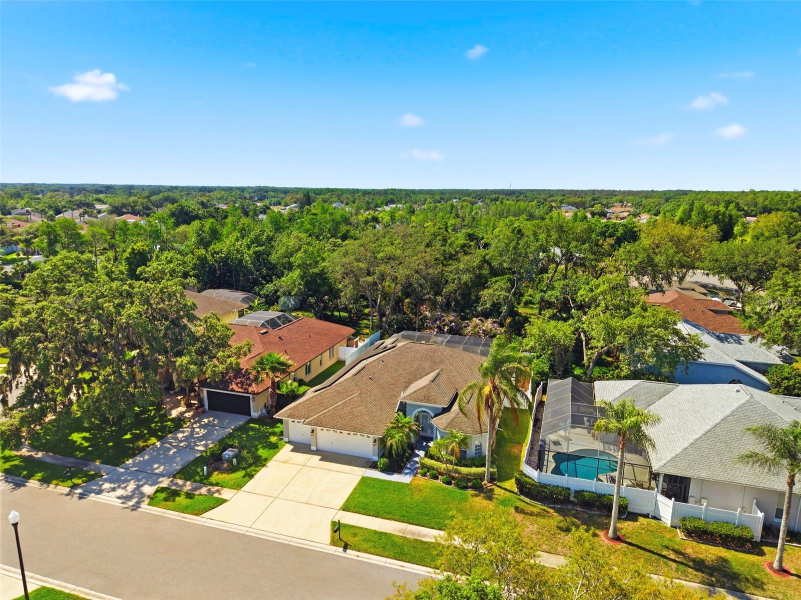 Image 64 of 67 For 8530 Orsi Court