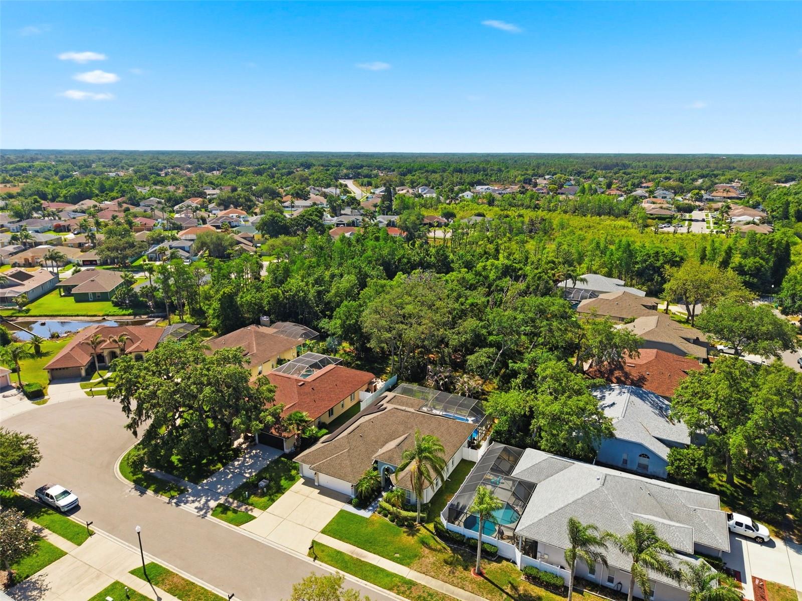 Image 66 of 67 For 8530 Orsi Court