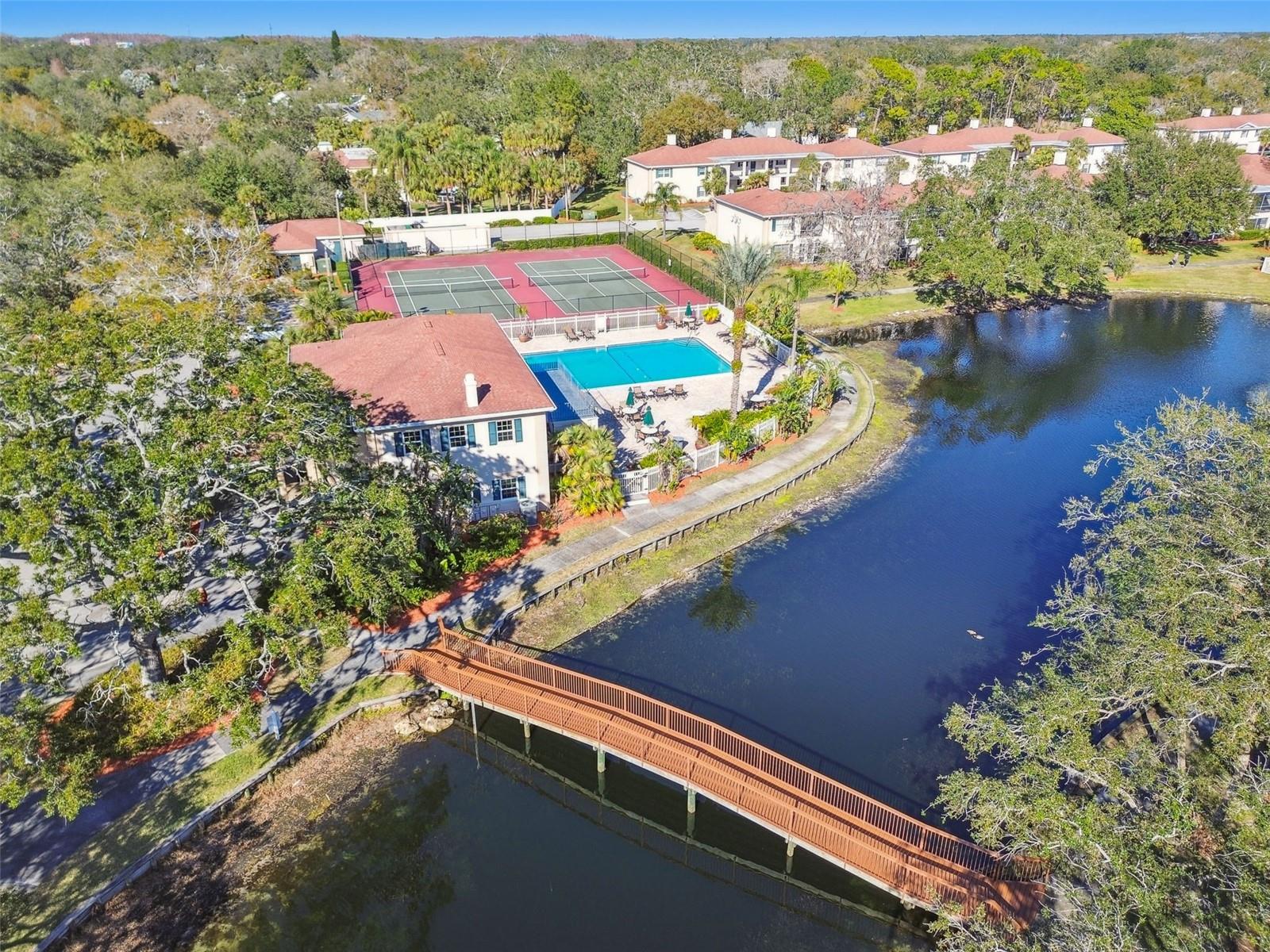 Image 18 of 38 For 10340 Carrollwood Lane 163