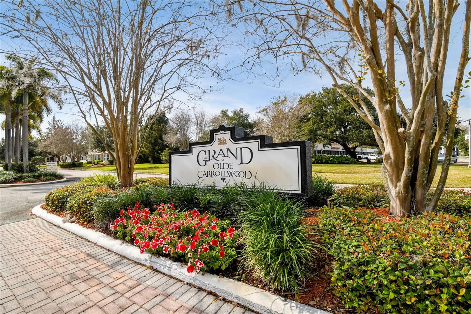 Image 20 of 38 For 10340 Carrollwood Lane 163