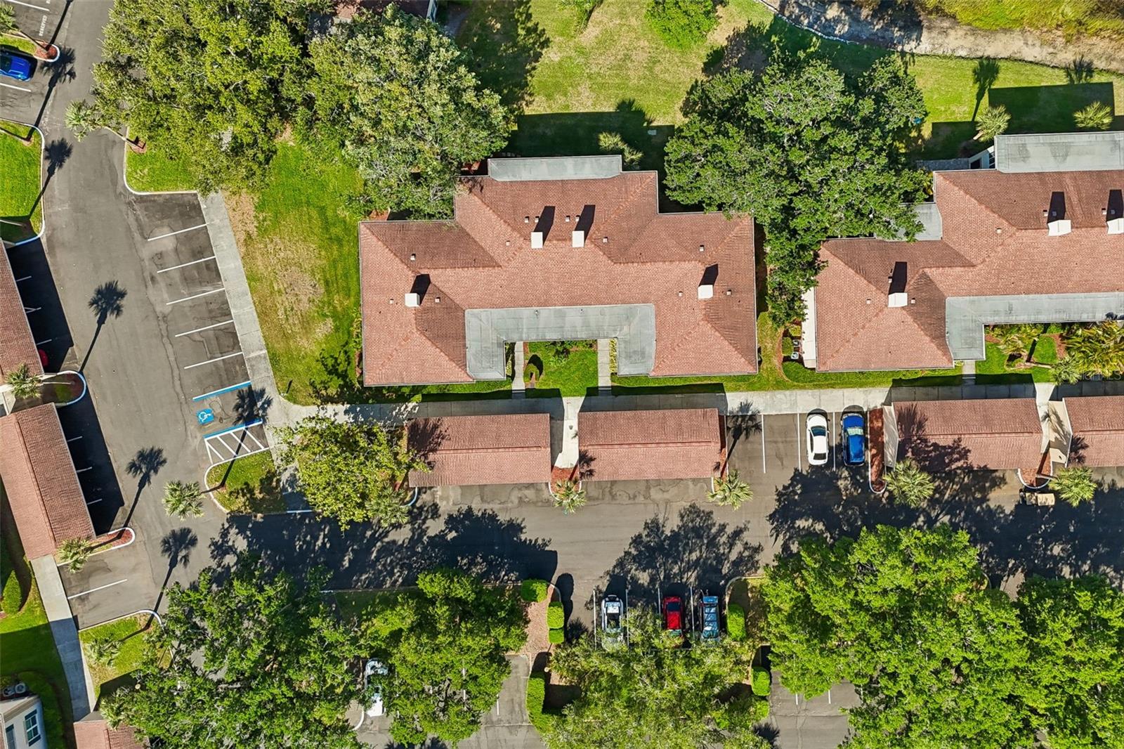 Image 31 of 38 For 10340 Carrollwood Lane 163