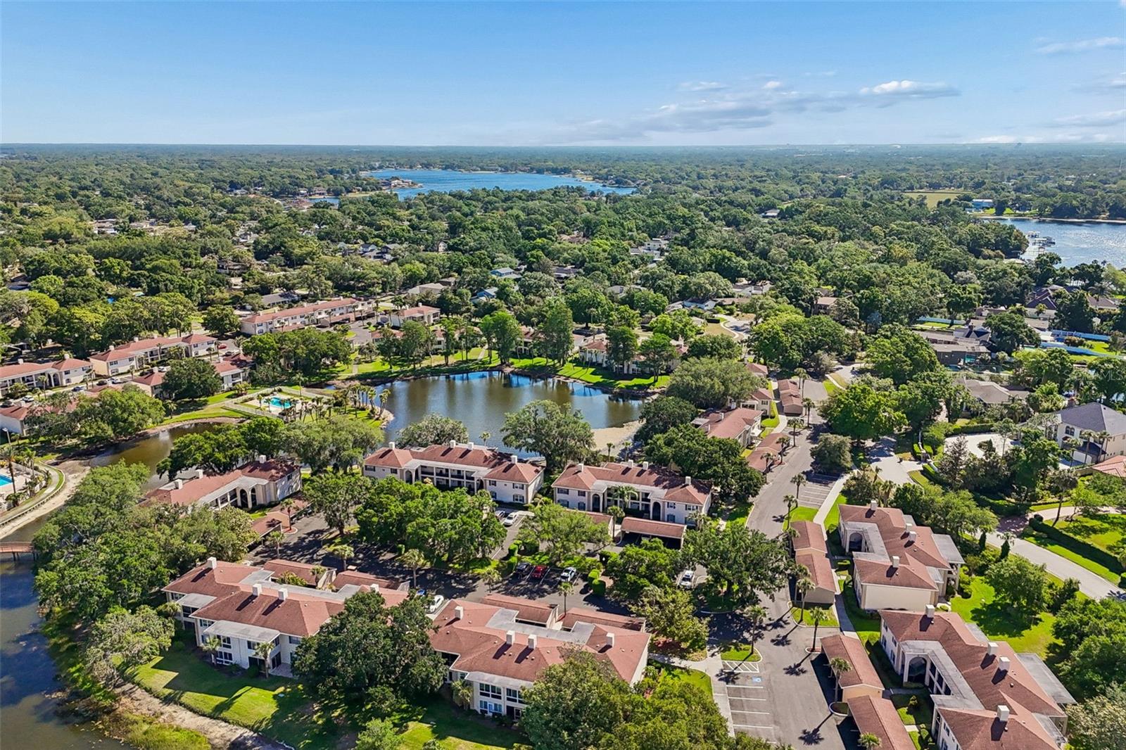 Image 32 of 38 For 10340 Carrollwood Lane 163