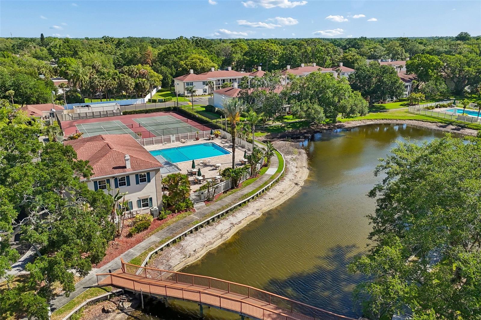 Image 33 of 38 For 10340 Carrollwood Lane 163