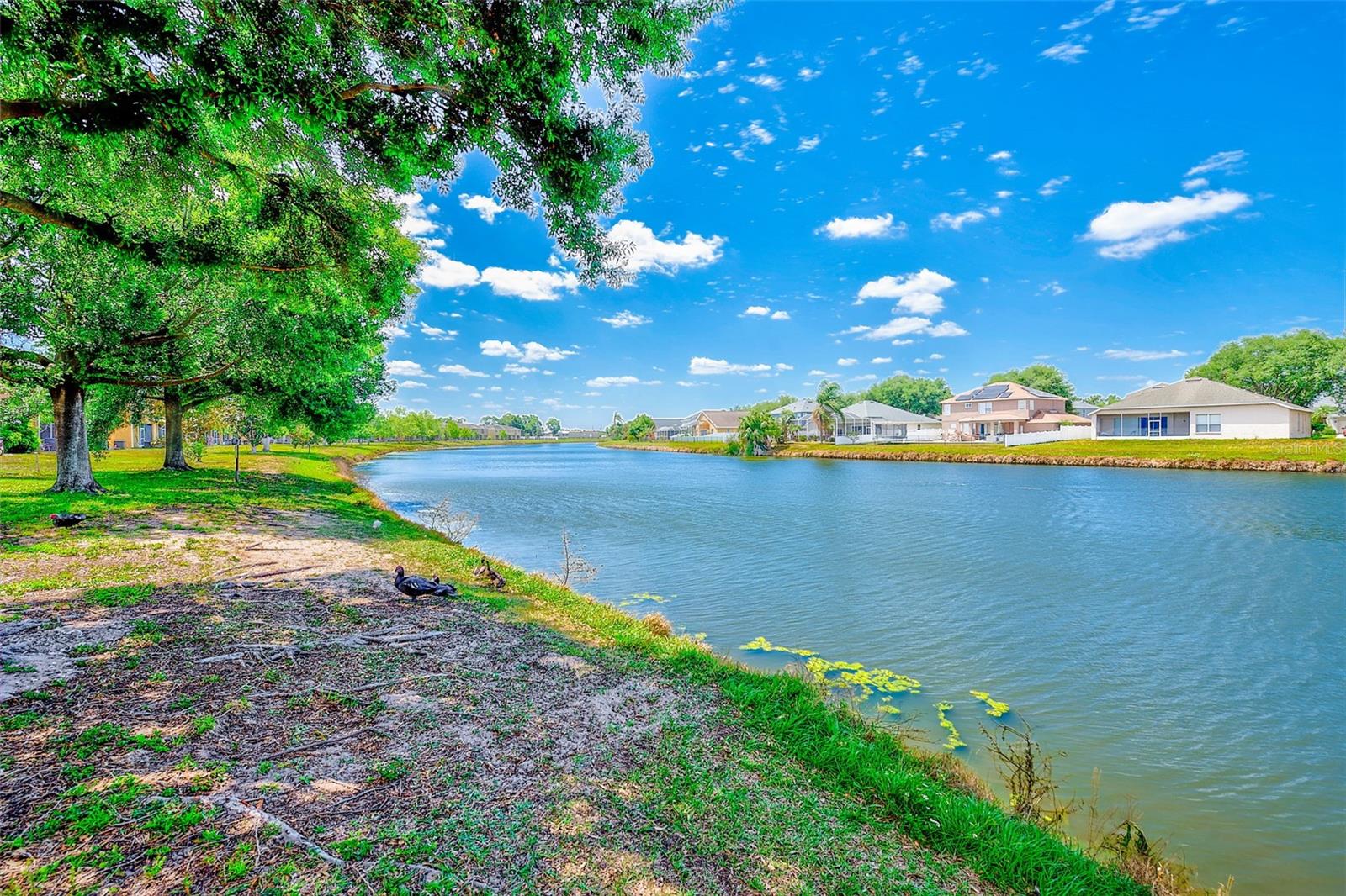 Image 2 of 46 For 6905 Towering Spruce Drive