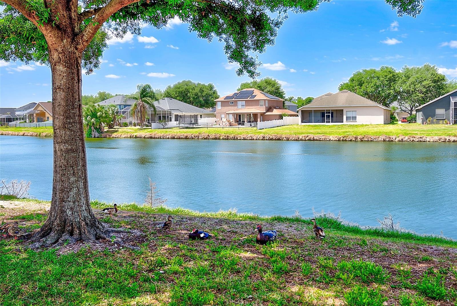 Image 35 of 46 For 6905 Towering Spruce Drive