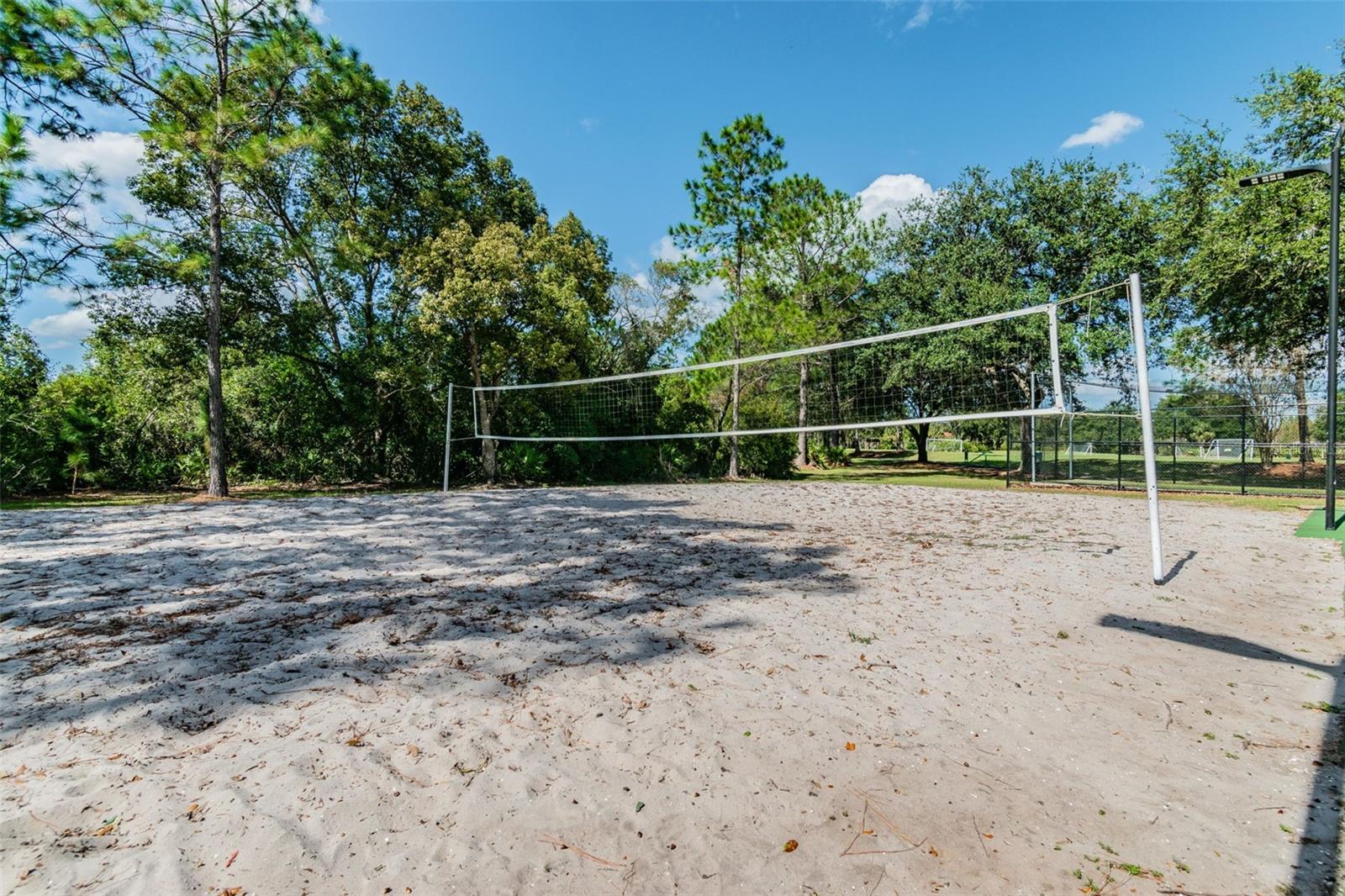Image 87 of 95 For 9481 Highland Oak Drive 1615