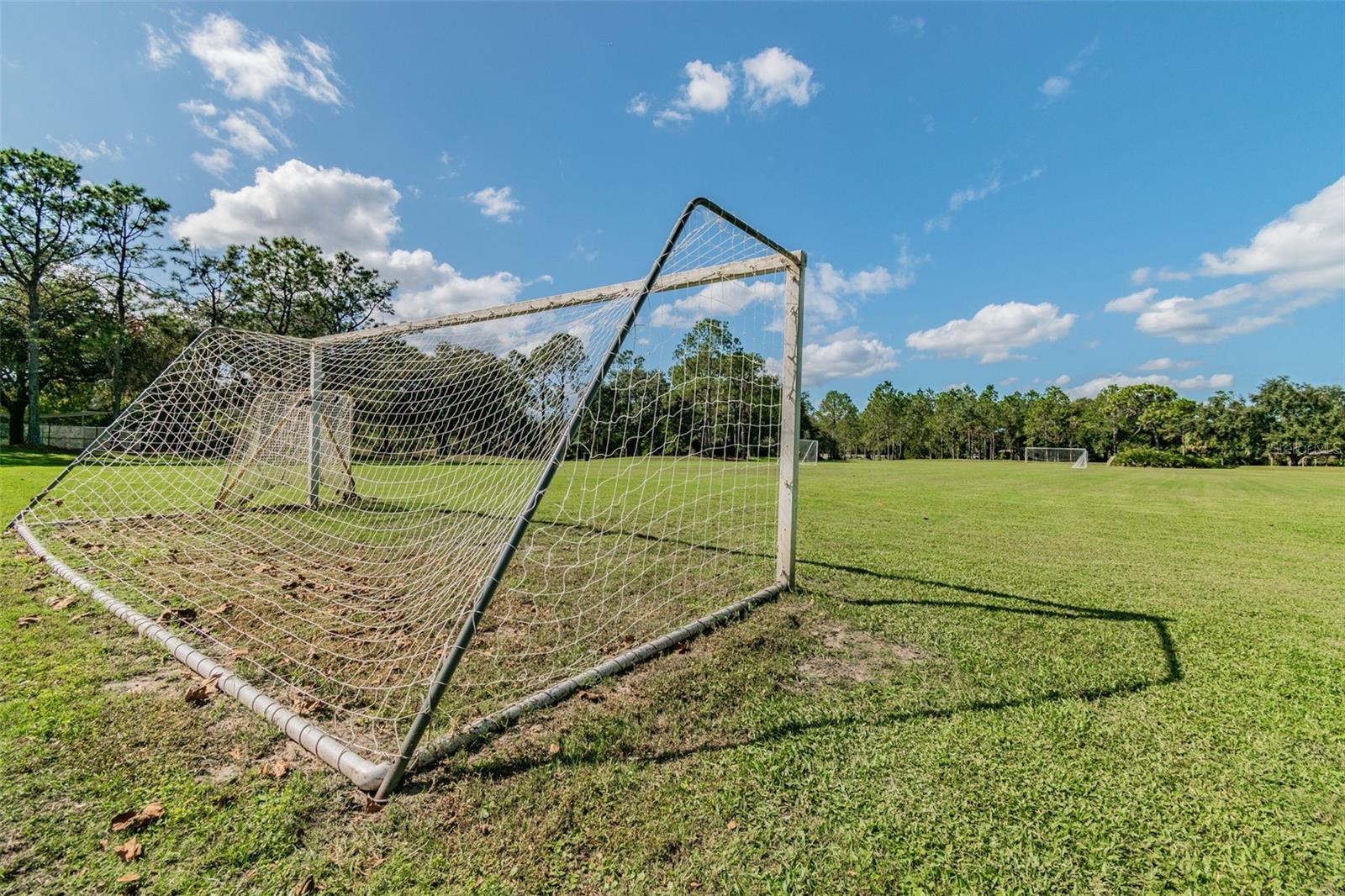 Image 89 of 95 For 9481 Highland Oak Drive 1615