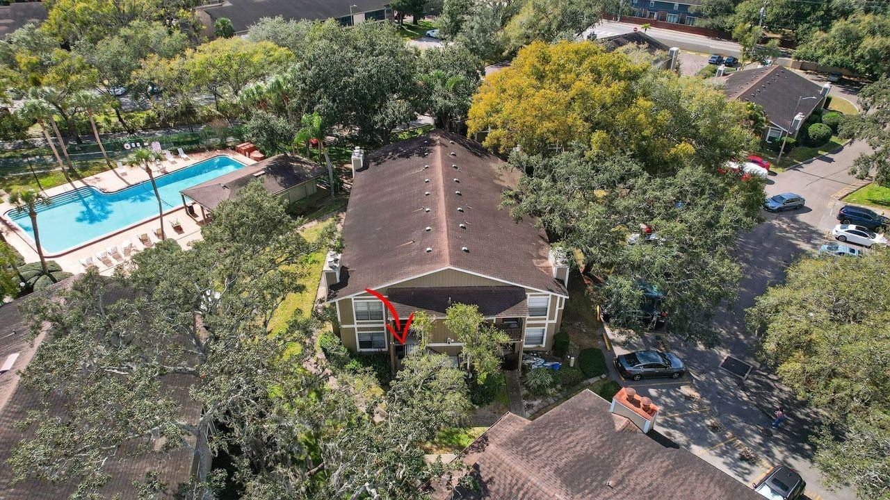 Image 18 of 18 For 14319 Hanging Moss Circle 102