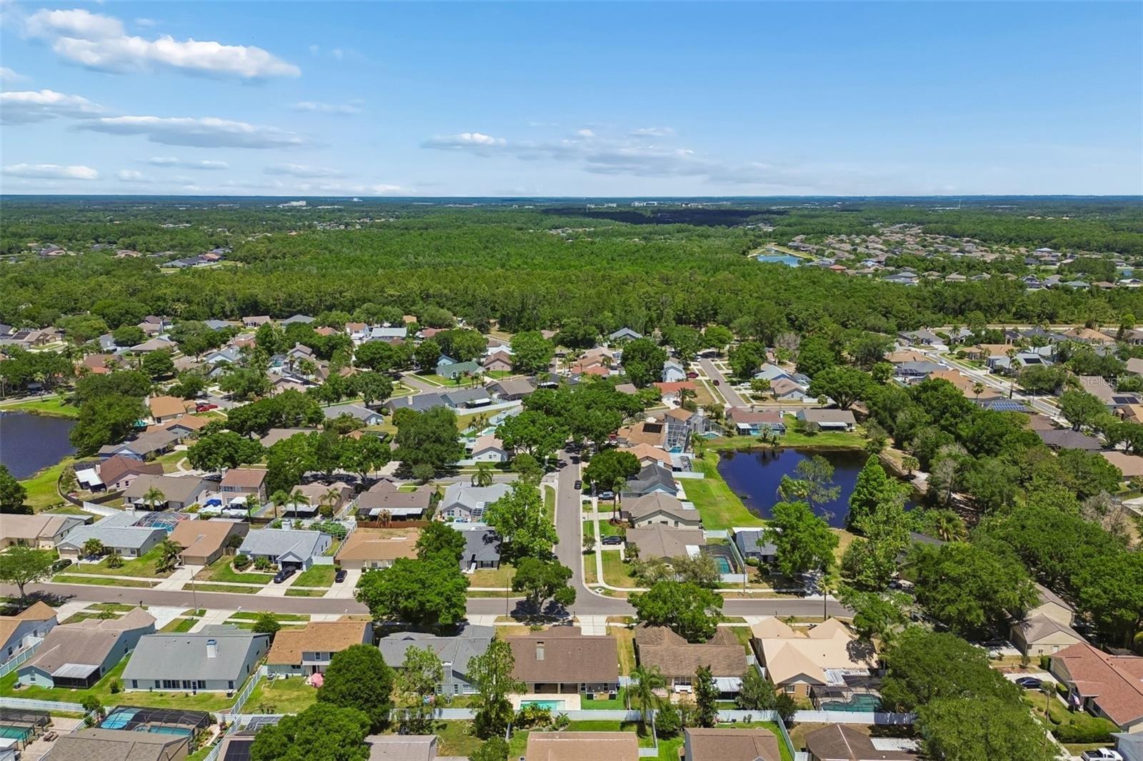 Image 21 of 78 For 9735 Cypress Pond Avenue
