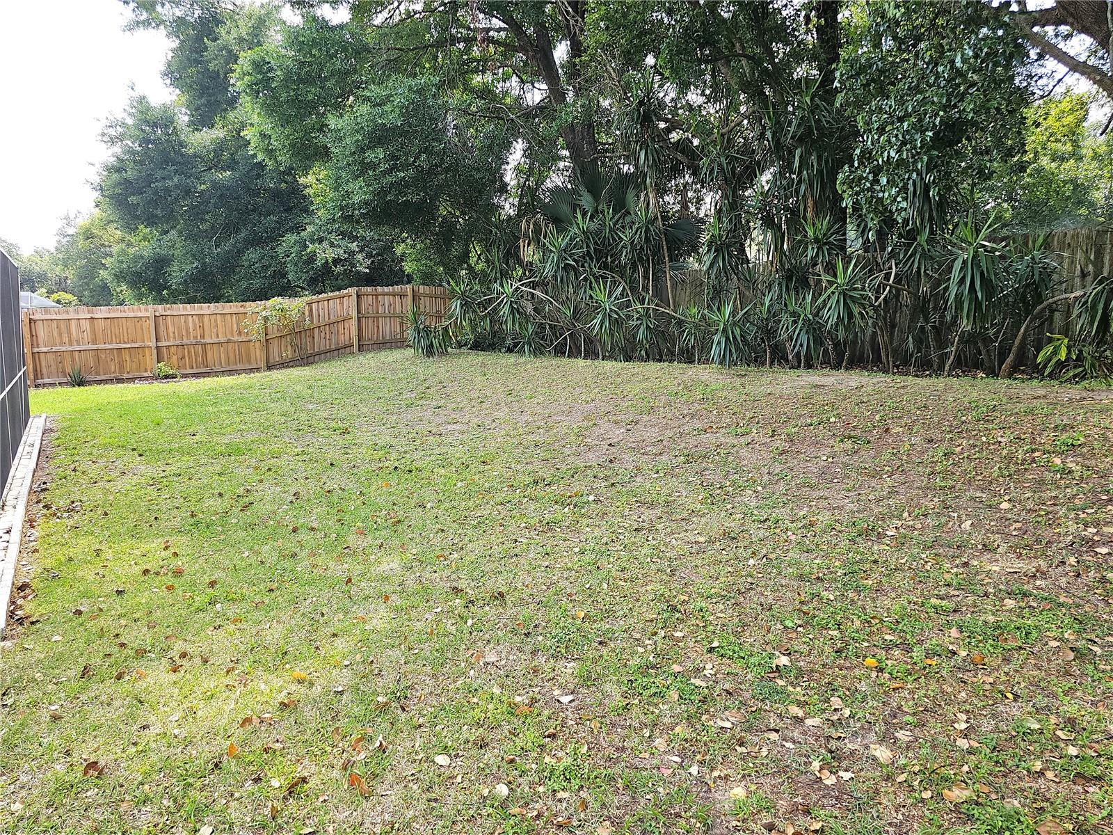 Image 42 of 59 For 1613 Mosaic Forest Drive