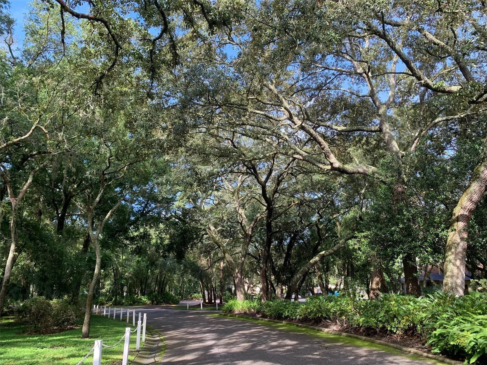 Image 26 of 29 For 11715 Raintree Village Boulevard A