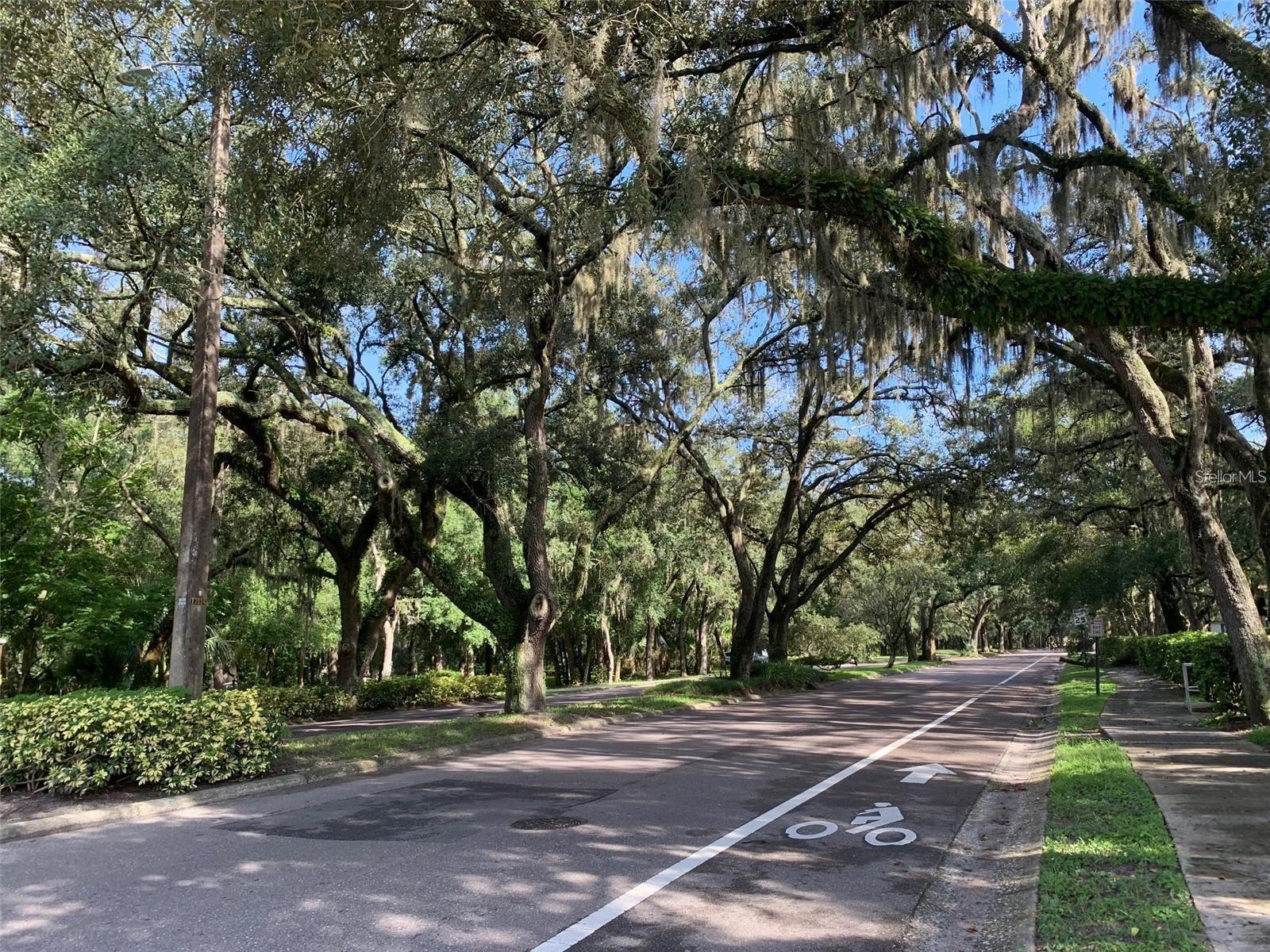 Image 28 of 29 For 11715 Raintree Village Boulevard A