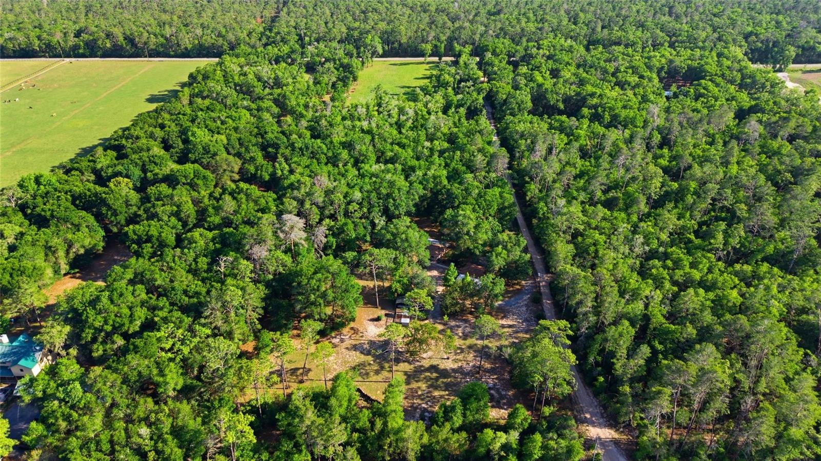 Image 38 of 49 For 15700 Doe Trail